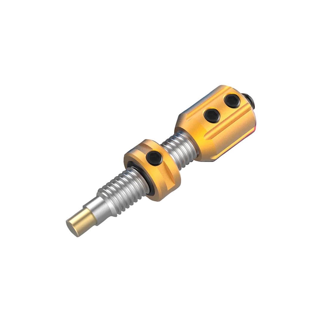 Photo of gold Bicaster plunger button on a white background.