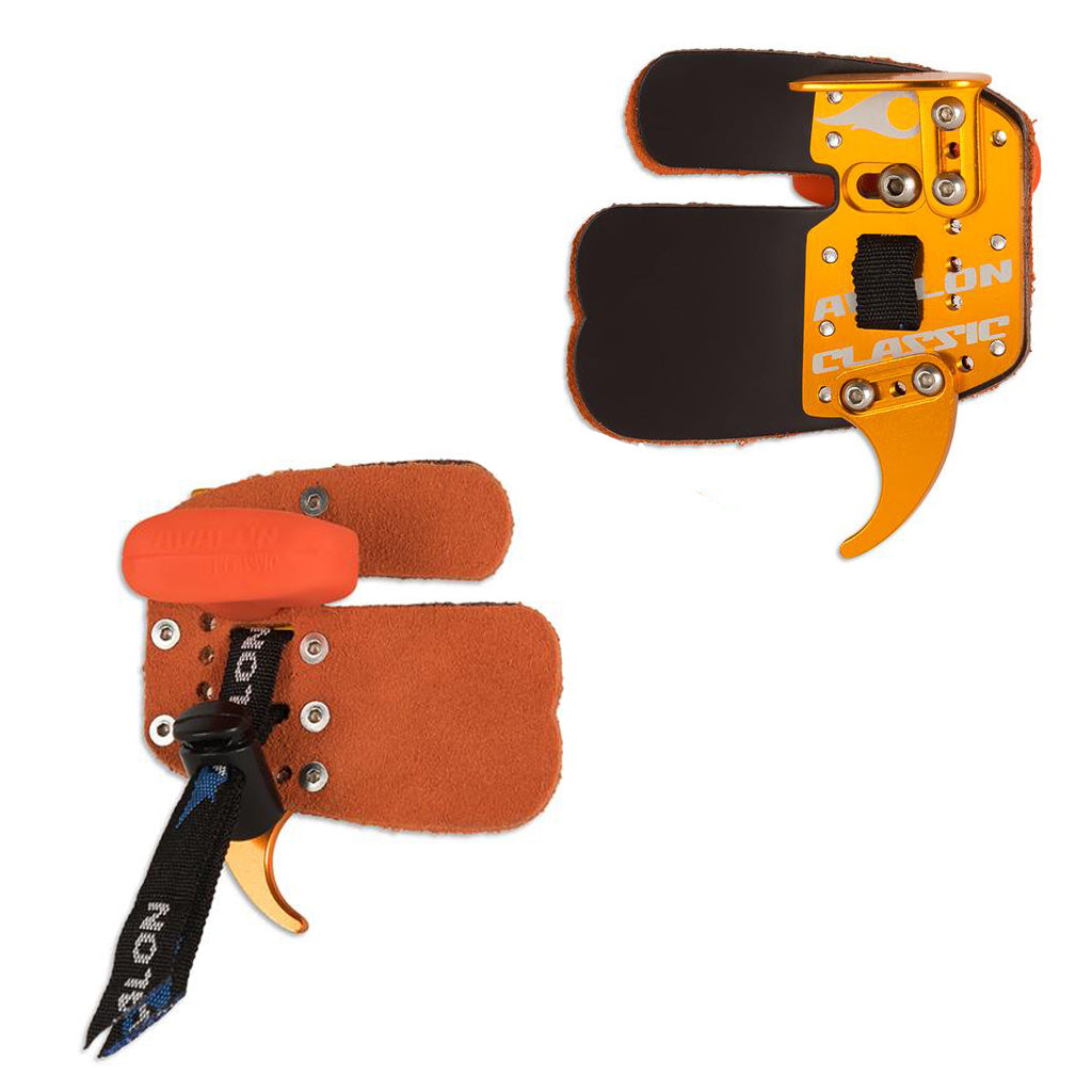 Photo of front and back of Avalon classic recurve tab in the colour gold.
