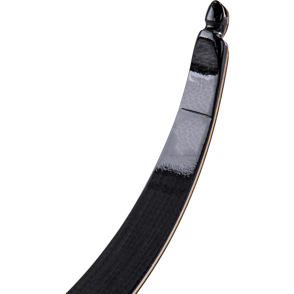 Photo of tip oa Core Accevia ILF recurve limb on a white background.
