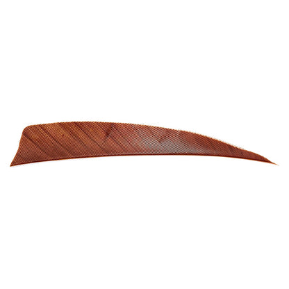 Avalon shield cut feather in brown on a white background.