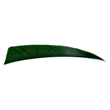 Avalon shield cut feather in dark green on a white background.
