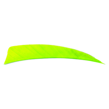 Avalon shield cut feather in fluorescent green on a white background.