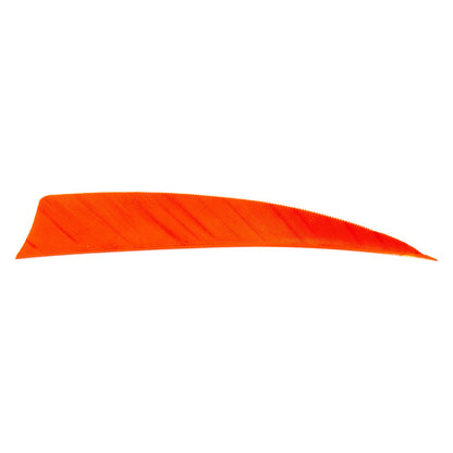 Avalon shield cut feather in orange on a white background.