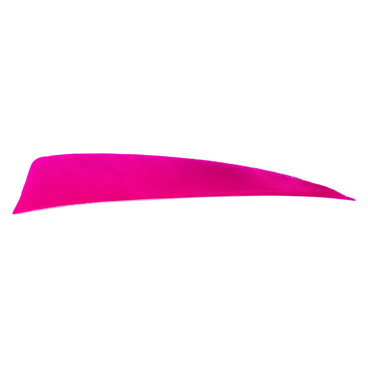 Avalon shield cut feather in pink on a white background.