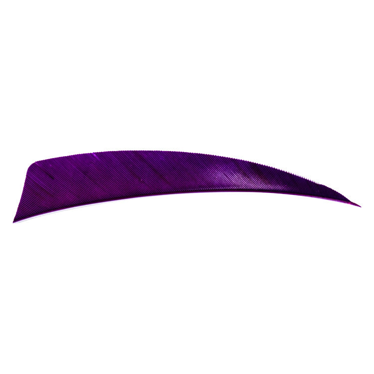 Avalon shield cut feather in purple on a white background.