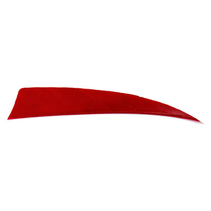 Avalon shield cut feather in red on a white background.