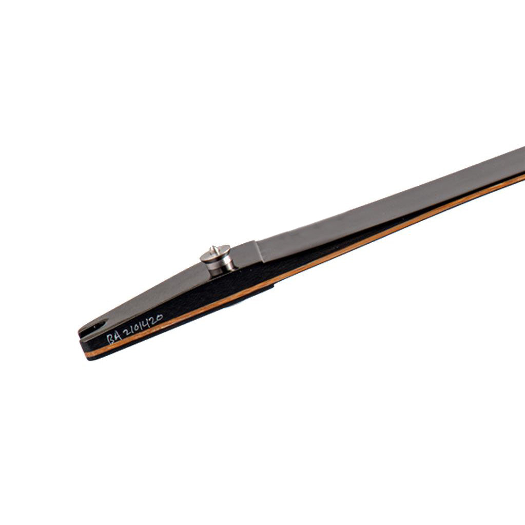 Photo of profile of a Kinetic Invelta ILF Limb on a white background.
