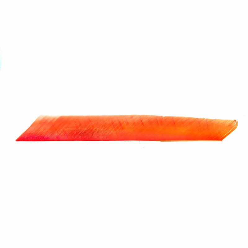 True Flight Feathers