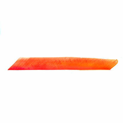 True Flight Feathers